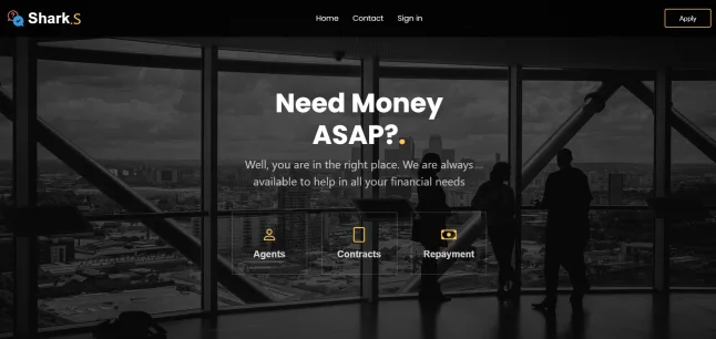 Project screenshot